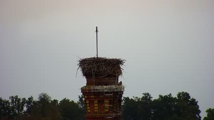 2025-10-07