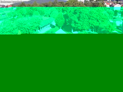 2025-06-25