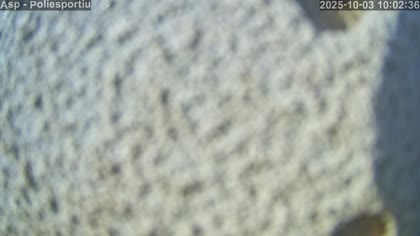 2025-10-03