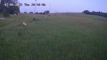2025-06-12