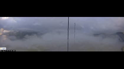 2025-08-25