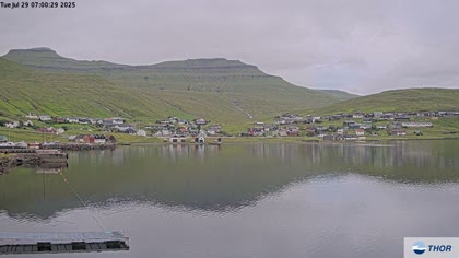 2025-07-29