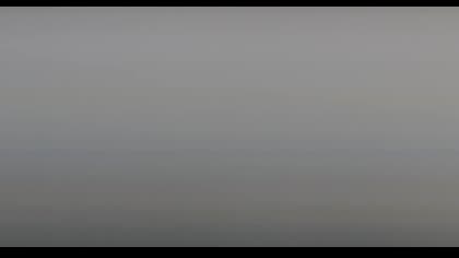 2025-08-29