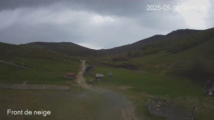 2025-05-16
