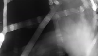 2025-10-03