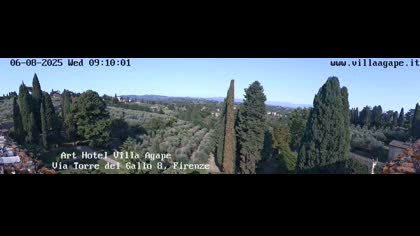 2025-08-06