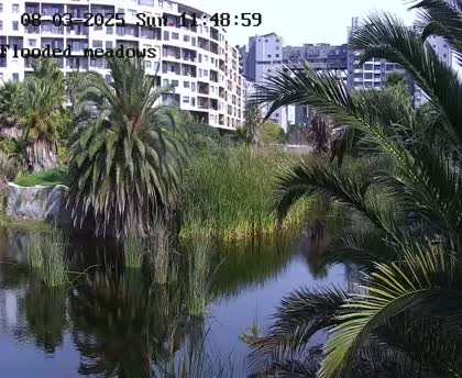 2025-08-04