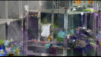 2025-09-09