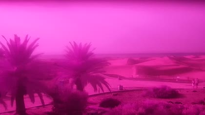 2026-07-30