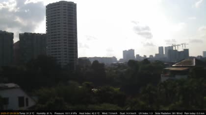 2025-07-29