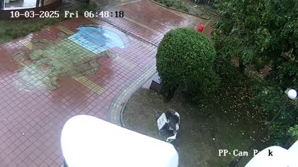 2025-10-03
