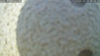 2025-06-10