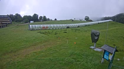 2026-06-11