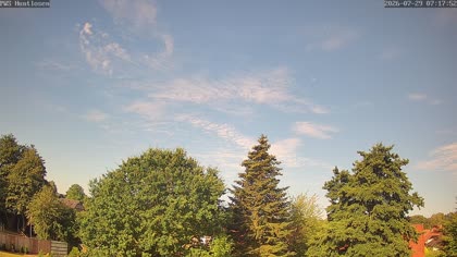 2026-07-29
