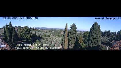 2025-08-09