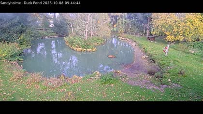 2025-10-08