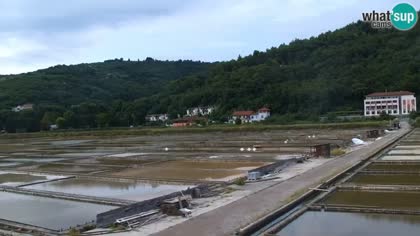 2026-07-23