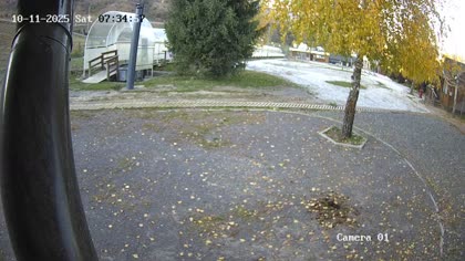2025-10-11