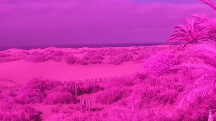 2026-06-20