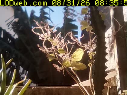 2026-08-31
