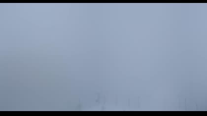 2025-07-11