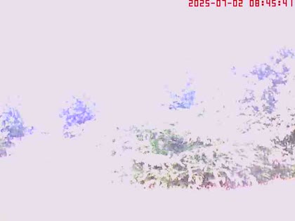 2025-07-02