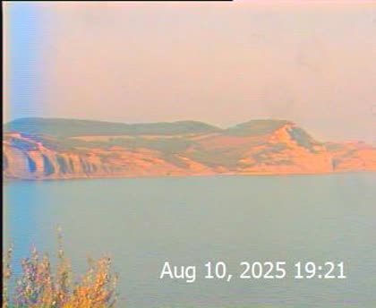 2025-08-11