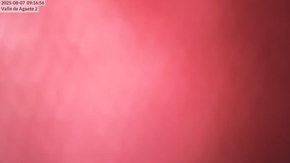 2025-08-07