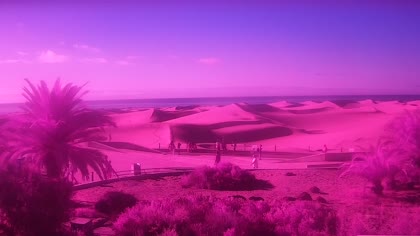2026-08-27