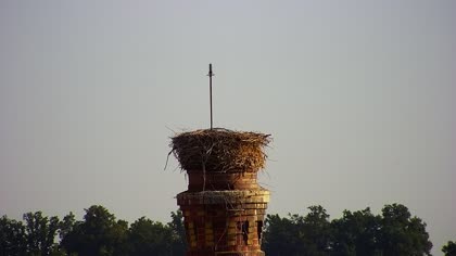 2025-08-06