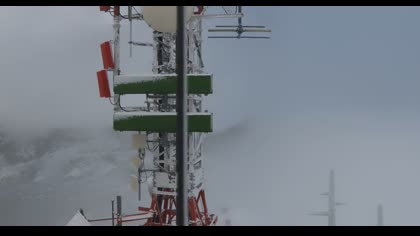 2025-07-25