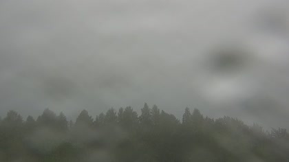 2025-07-09