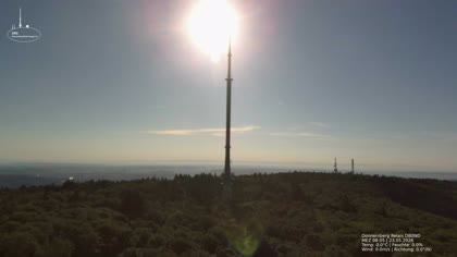 2026-05-23
