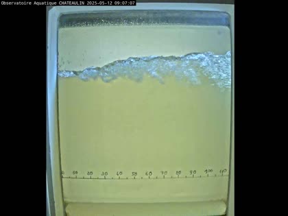 2025-05-12