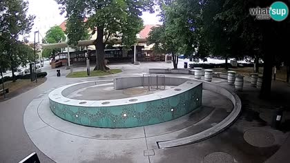 2025-07-07