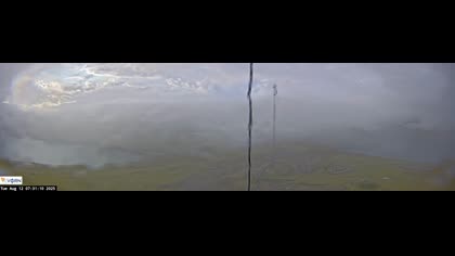 2025-08-12
