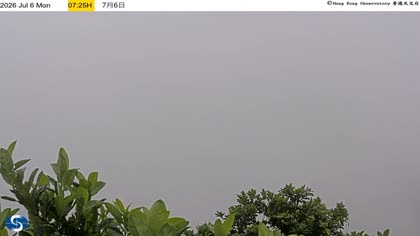 2026-07-06