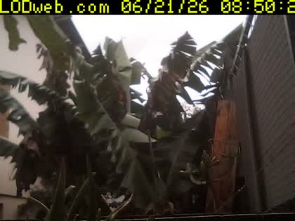 2026-06-21