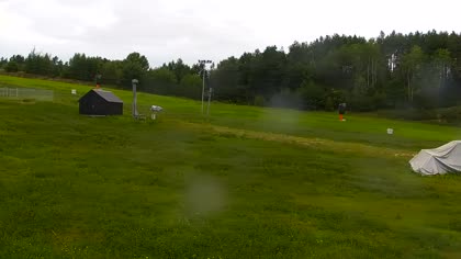 2026-08-19