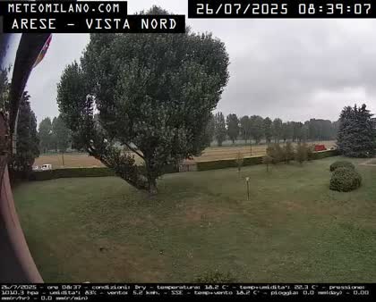 2025-07-26