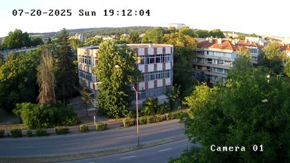 2025-07-20