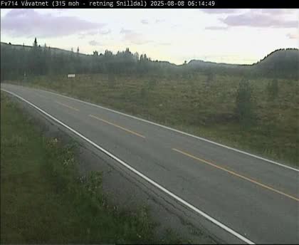 2025-08-08