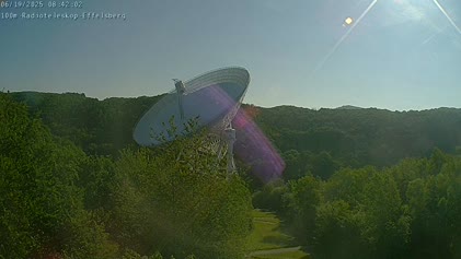 2025-06-19