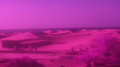 2026-08-29
