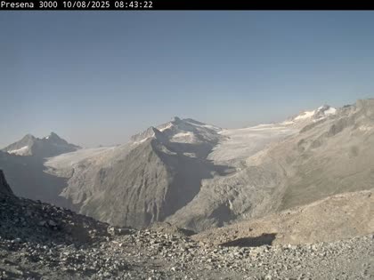 2025-08-10