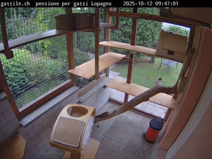 2025-10-12