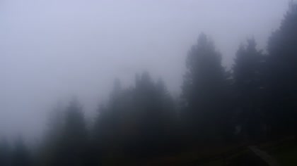 2025-10-11