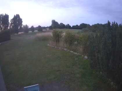 2025-07-08