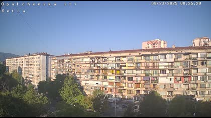 2025-08-23