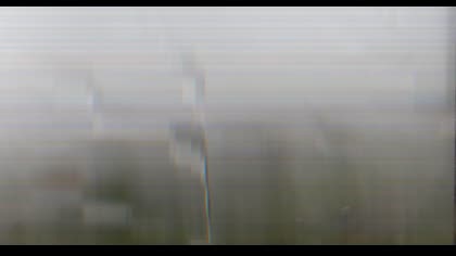 2025-08-05